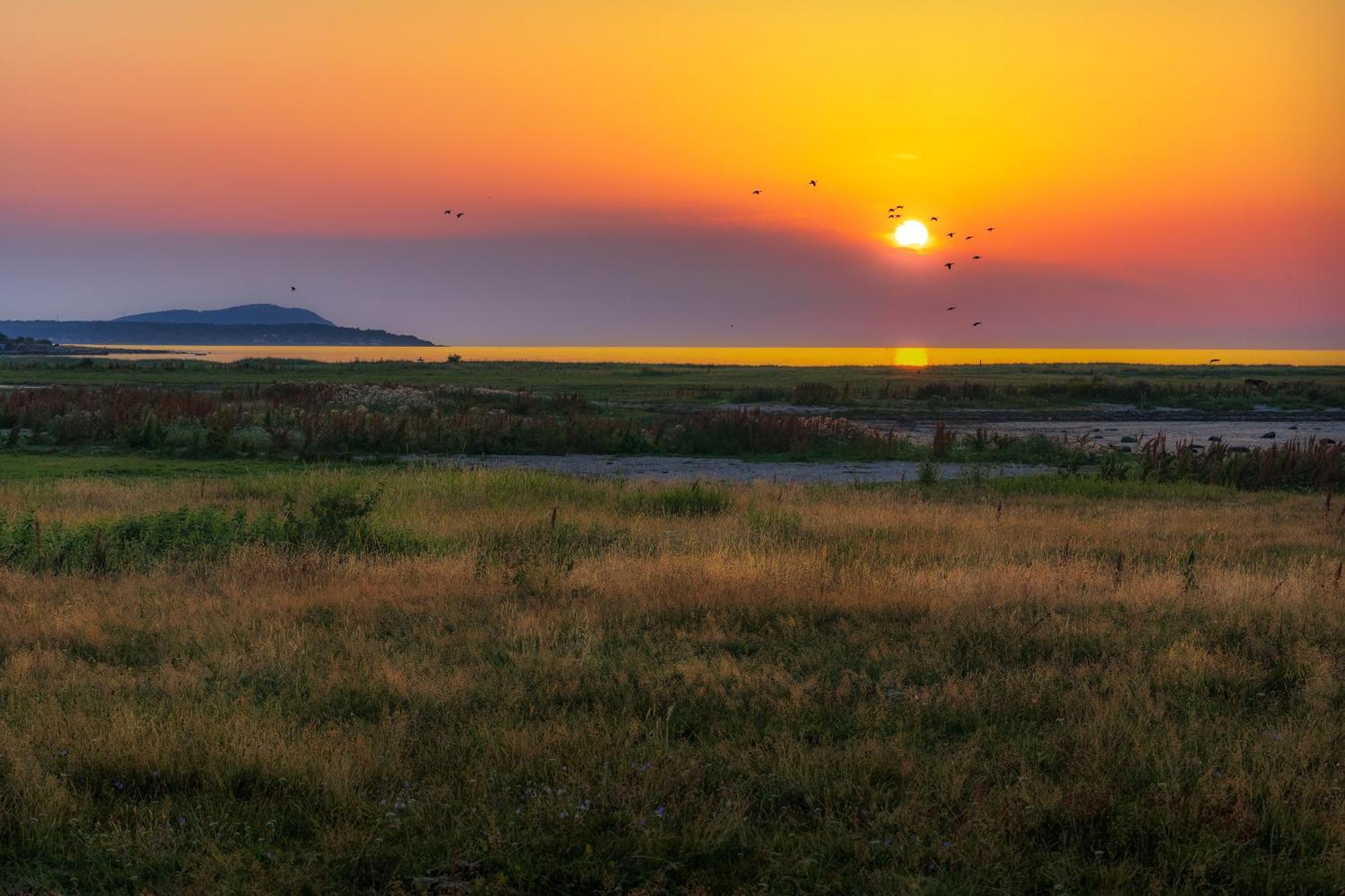 Norra Haeljaroed Villa Farhult Dış mekan fotoğraf